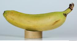 Bananna